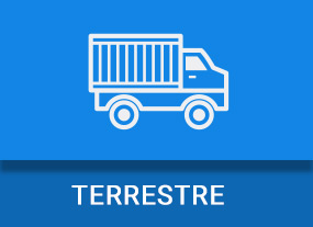 Terrestre